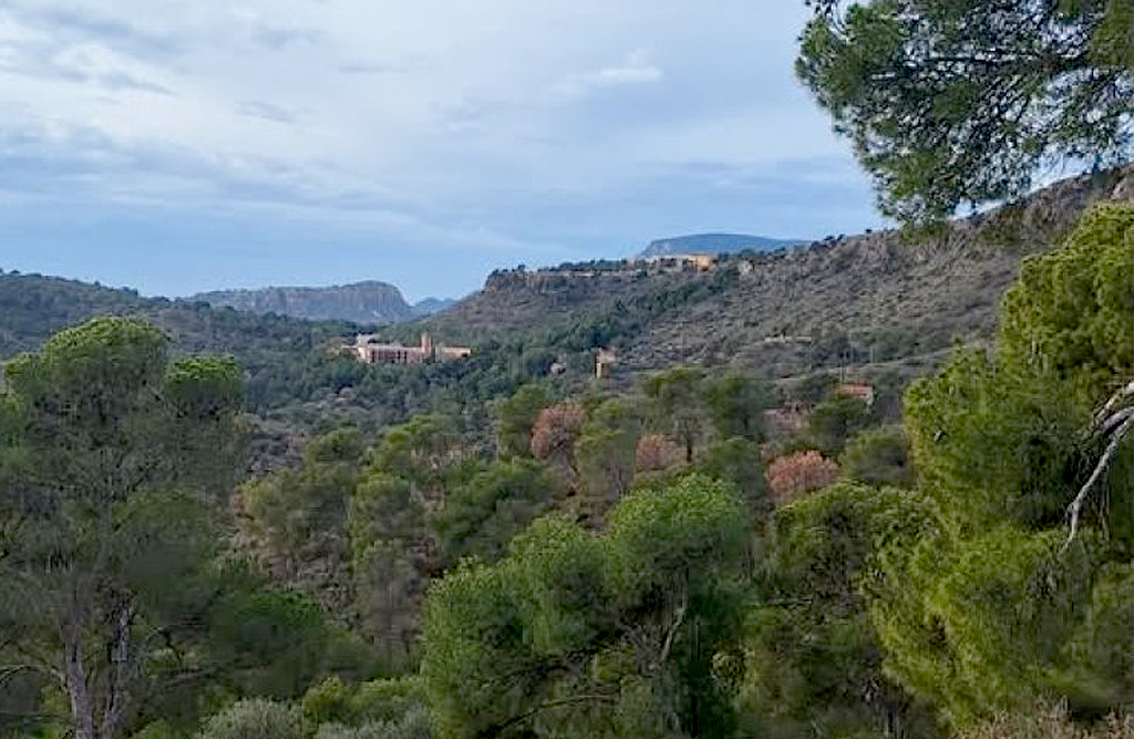 El PSOE de Totana denuncia la falta de compromiso del PP en la prevencin de incendios en Sierra Espua
